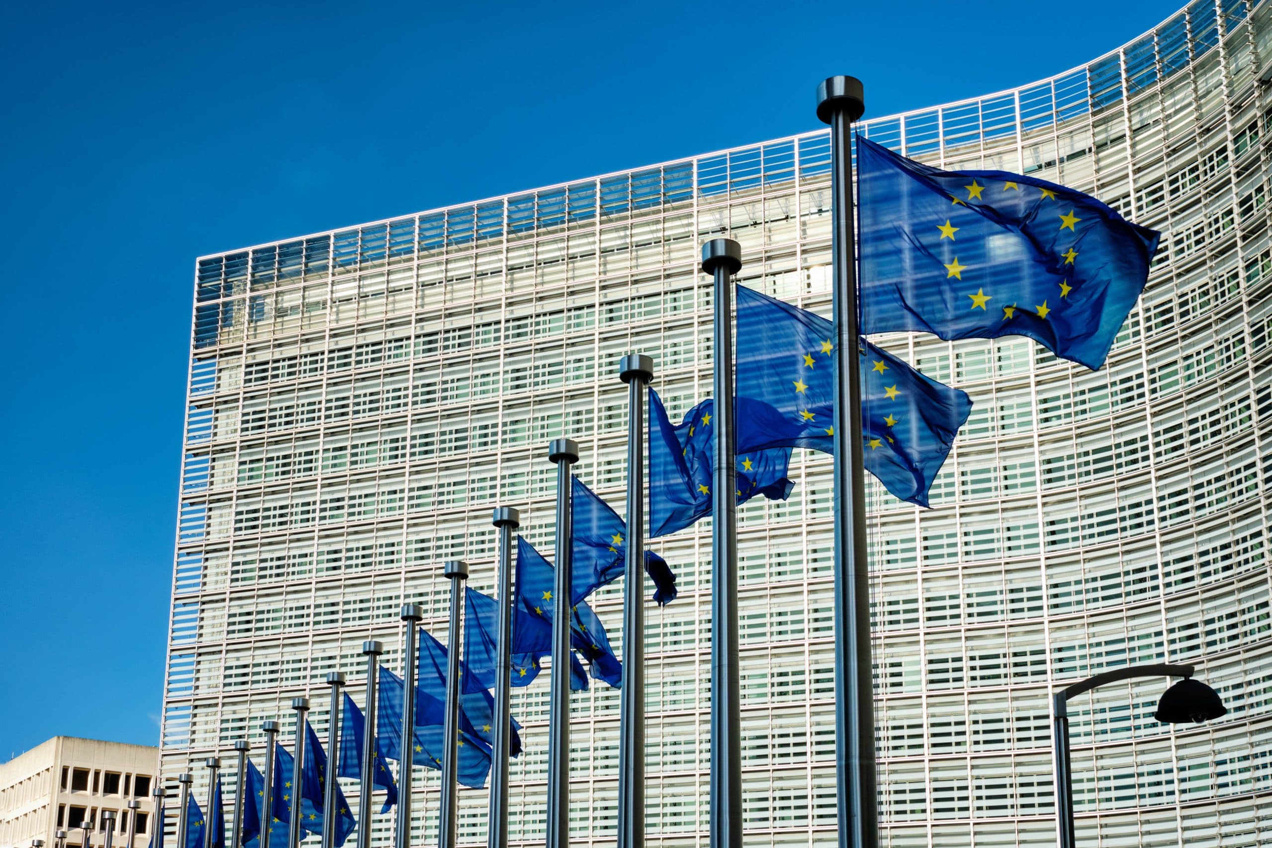 I valichi alpini sono infrastrutture strategiche, serve una politica Ue