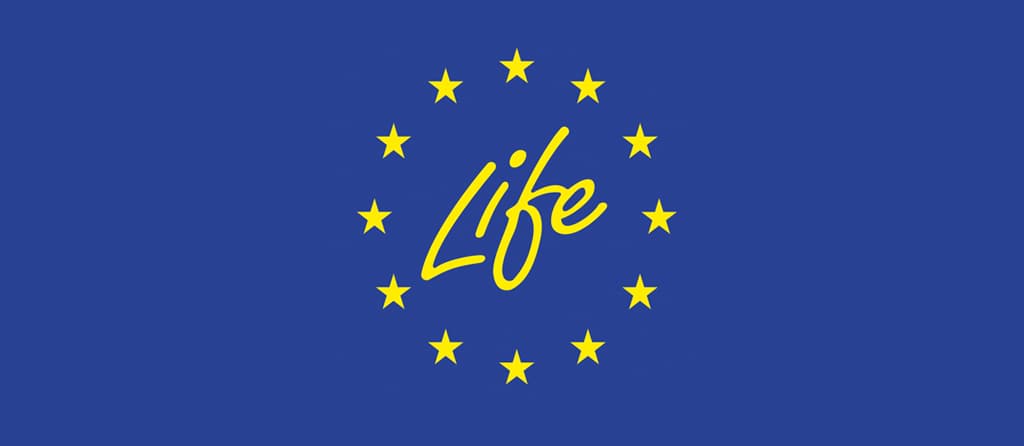 Call LIFE: Transizione verso l’energia pulita 2025