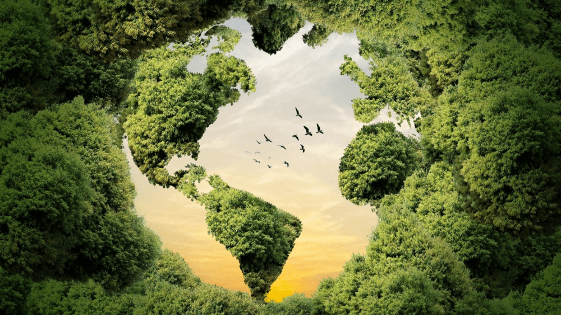 LIFE: Mitigazione e adattamento al cambiamento climatico 2026
